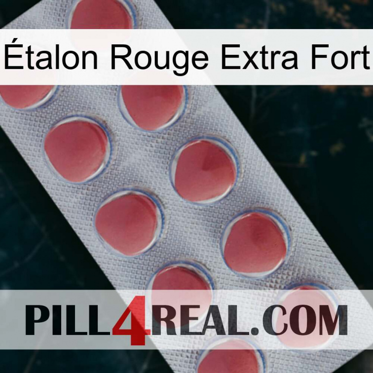 Étalon Rouge Extra Fort 18
